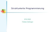 Strukturierte Programmierung IFB 2002 Tobias Selinger