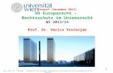 1 Entwurf (Dezember 2013) VO Europarecht – Rechtsschutz im Unionsrecht WS 2013/14 Prof. Dr. Verica Trstenjak Univ.-Prof. Dr. Trstenjak. *urheberrechtlich.