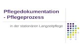 Pflegedokumentation - Pflegeprozess in der stationären Langzeitpflege.