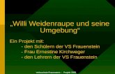Volksschule Frauenstein - Projekt 2005 Willi Weidenraupe und seine Umgebung Ein Projekt mit: - den Schülern der VS Frauenstein - Frau Ernestine Kirchweger.