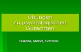 Übungen zu psychologischen Gutachten Bukasa, Mandl, Schmon.