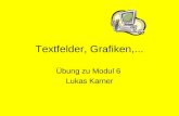 Textfelder, Grafiken,... Übung zu Modul 6 Lukas Karner.