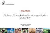 REACH Sichere Chemikalien für eine gesündere Zukunft ? Mag. Herbert Schaupp WWF Österreich.