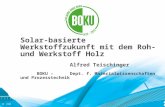 Solar-basierte Werkstoffzukunft mit dem Roh- und Werkstoff Holz Alfred Teischinger BOKU –Dept. f. Materialwissenschaften und Prozesstechnik.