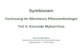 Symbiosen Vorlesung im Blockkurs Pflanzenbiologie Teil II: Ericoide Mykorrhiza Verena Wiemken Botanisches Institut der Universität Basel Hebelstrasse 1,