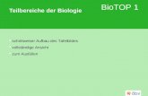 BioTOP 1 Teilbereiche der Biologie schrittweiser Aufbau des Tafelbildes vollständige Ansicht zum Ausfüllen.