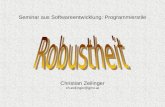 Seminar aus Softwareentwicklung: Programmierstile Christian Zeilinger ch.zeilinger@gmx.at.