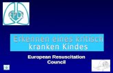European Resuscitation Council. Erkennen und initiales Management eines Atem- und Herz-Kreislaufstillstandes.