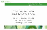 Kompetenz an Ihrer Seite Therapie von Gallensteinen PD Dr. Stefan Wildi Dr. Volker Stenz Stadtspital Waid.