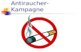 Antiraucher-Kampagne. Auswirkungen des Tabakkonsums Zur Zeit rauchen 1,2 Milliarden Menschen Weltweit sterben jährlich 4 Millionen Menschen an den Folgen.