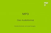 Mp3 MP3 Das Audioformat Daniela Wurhofer und Ismail Karag¶z
