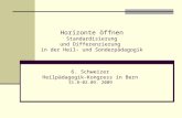 Horizonte öffnen Standardisierung und Differenzierung in der Heil- und Sonderpädagogik 6. Schweizer Heilpädagogik-Kongress in Bern 31.8-02.09. 2009.