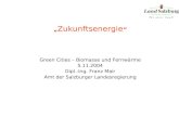 Zukunftsenergie Green Cities – Biomasse und Fernwärme 5.11.2004 Dipl.-Ing. Franz Mair Amt der Salzburger Landesregierung.