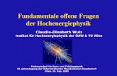 Fachausschuß für Kern- und Teilchenphysik 55. Jahrestagung der Österreichischen Physikalischen Gesellschaft Wien, 28. Sep. 2005 Claudia-Elisabeth Wulz.