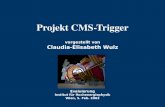 Evaluierung Institut für Hochenergiephysik Wien, 5. Feb. 2002 vorgestellt von Claudia-Elisabeth Wulz Projekt CMS-Trigger.