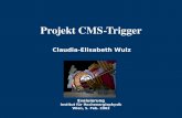 Evaluierung Institut für Hochenergiephysik Wien, 5. Feb. 2002 Claudia-Elisabeth Wulz Projekt CMS-Trigger.