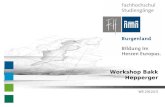 WS 2012/13 Workshop Bakk Hepperger. Workshop Bakk – WS 2012/13 Klassische Wissenschaftliche Publikationsformen Monographien – selbständige Literatur Sammelwerke.