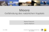 13.1.2009Umwelt und nachhaltige Entwicklung WS 2008/09 Meere Gefährdung des natürlichen Kapitals Maria Fiausch Sylvia Balloch.