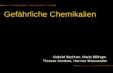 Gefährliche Chemikalien Gabriel Bachner, Maria Billinger, Thomas Kerekes, Hannes Waxwender.
