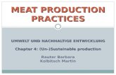 UMWELT UND NACHHALTIGE ENTWICKLUNG Chapter 4: (Un-)Sustainable production Rauter Barbara Kolbitsch Martin MEAT PRODUCTION PRACTICES.