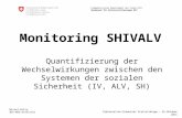Eidgenössisches Departement des Innern EDI Bundesamt für Sozialversicherungen BSV Monitoring SHIVALV Quantifizierung der Wechselwirkungen zwischen den.