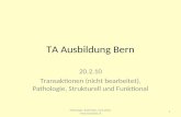 TA Ausbildung Bern 20.2.10 Transaktionen (nicht bearbeitet), Pathologie, Strukturell und Funktional 1 Pathologie, Enttrüben, 20.2.2010, .