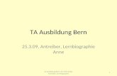 TA Ausbildung Bern 25.3.09, Antreiber, Lernbiographie Anne 1 TA Ausbildung Bern, 25.3.09, Skript, Antreiber, Lernbiographie.