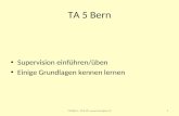 TA 5 Bern Supervision einführen/üben Einige Grundlagen kennen lernen 1TA5Bern, 10.6.09, .