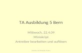 TA Ausbildung 5 Bern Mittwoch, 22.4.09 Miniskript Antreiber bearbeiten und auflösen Antreiber und Miniskript, TA Bern.