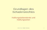 Prof. Dr. iur. Walter Fellmann1 Grundlagen des Schadensrechtes Haftungstatbestände und Haftungsarten.