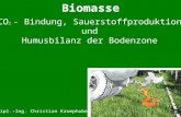 CO 2 - Bindung, Sauerstoffproduktion und Humusbilanz der Bodenzone Dipl.-Ing. Christian Krumphuber Biomasse.