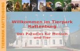 TIERPARK RATTENBURG Überblick Geschichte der Tierparks Anfahrt und Lage Unsere Tiere Forschung und Wissenschaft Zahlen und Fakten Termine und Kontakt.
