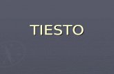 TIESTO. Tiesto Tiësto ist ein niederländischer DJ und Musikproduzent. Tiësto ist ein niederländischer DJ und Musikproduzent. Bürgerlicher Name: Tijs Michiel.