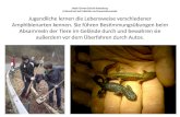 Jakob Grimm Schule Rotenburg Artenschutz bei Erdkröte und Feuersalamander Jugendliche lernen die Lebensweise verschiedener Amphibienarten kennen. Sie führen.