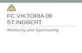 FC VIKTORIA 09 ST.INGBERT Werbung und Sponsoring.