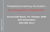 Testgebiete fischnetz+ Testgebietsmeeting fischnetz+ Wasserqualit¤t Testgew¤sser Universit¤t Basel, 29. Oktober 2004 Ueli Ochsenbein GSA-GBL Bern