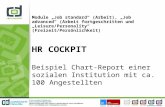 HR COCKPIT Beispiel Chart-Report einer sozialen Institution mit ca. 100 Angestellten Module Job standard (Arbeit), Job advanced (Arbeit fortgeschritten.