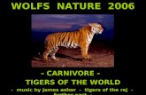WOLFS NATURE 2006 - CARNIVORE - TIGERS OF THE WORLD - music by james asher - tigers of the raj - further east