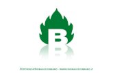 Der Südtiroler Biomasseverband Eckdaten Biomasse in Südtirol.
