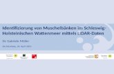 Identifizierung von Muschelbänken im Schleswig- Holsteinischen Wattenmeer mittels LiDAR-Daten Dr. Gabriele Müller AG GIS-Küste, 29. April 2013.