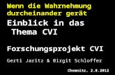 Wenn die Wahrnehmung durcheinander gerät Einblick in das Thema CVI Forschungsprojekt CVI Gerti Jaritz & Birgit Schloffer Chemnitz, 2.8.2012.