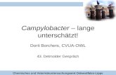CVUA-OWL Campylobacter – lange unterschätzt! Dorit Borchers, CVUA-OWL 43. Detmolder Gespräch Chemisches und Veterinäruntersuchungsamt Ostwestfalen-Lippe.