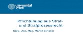 Pflichtübung aus Straf- und Strafprozessrecht Univ.- Ass. Mag. Martin Stricker.
