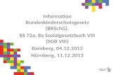 Information Bundeskinderschutzgesetz (BKSchG), §§ 72a, 8a Sozialgesetzbuch VIII (SGB VIII) Bamberg, 04.12.2013 N¼rnberg, 11.12.2013