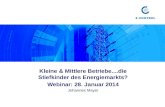 Kleine & Mittlere Betriebe....die Stiefkinder des Energiemarkts? Webinar: 28. Januar 2014 Johannes Mayer.