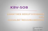 KBV-SOB Franziska Dolcic, MA Obfrau des KBV-SOB. 1993 Art. 15a- Vereinbarung über gemeinsame Maßnahmen für pflegebedürftige Personen zur Sicherstellung.