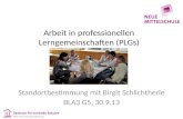 Arbeit in professionellen Lerngemeinschaften (PLGs) Standortbestimmung mit Birgit Schlichtherle BLA3 G5, 30.9.13.