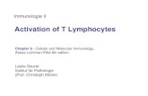 Immunologie II Chapter 9 - Cellular and Molecular Immunology, Abbas-Lichtman-Pillai 6th edition Leslie Saurer Institut für Pathologie (Prof. Christoph.