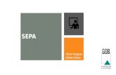 SEPA â€“ Single Euro Payment Area Vereinfachung des europ¤ischen Zahlungsverkehrs Millionen Unternehmen 20500 Millionen Menschen 80 Milliarden Zahlungen