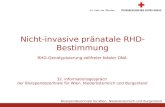 Blutspendezentrale für Wien, Niederösterreich und Burgenland Nicht-invasive pränatale RHD-Bestimmung RHD-Genotypisierung zellfreier fetaler DNA 32. Informationsgespräch.